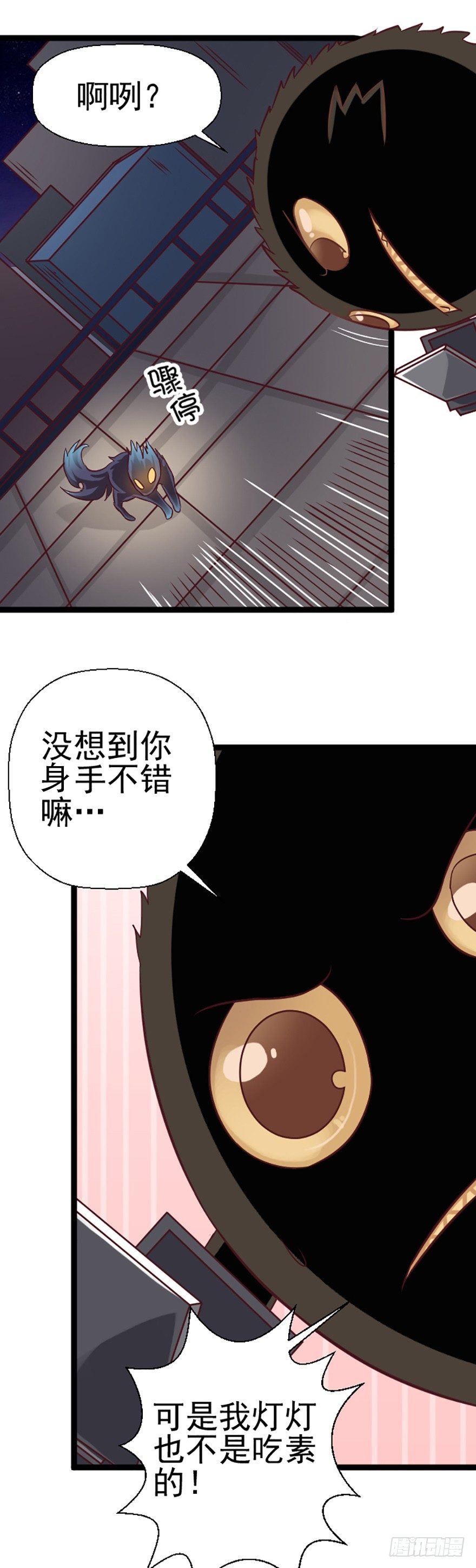 真正的窃贼
