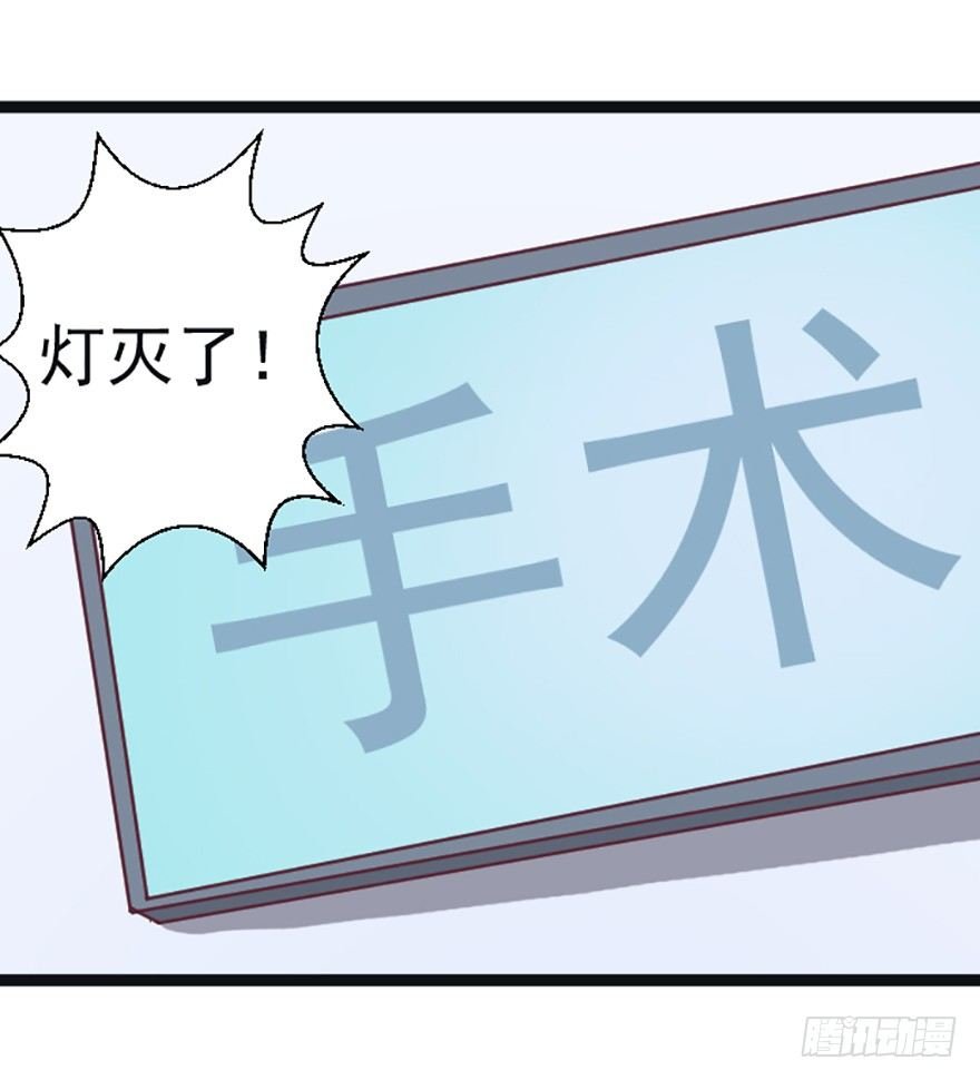兽医院的希望