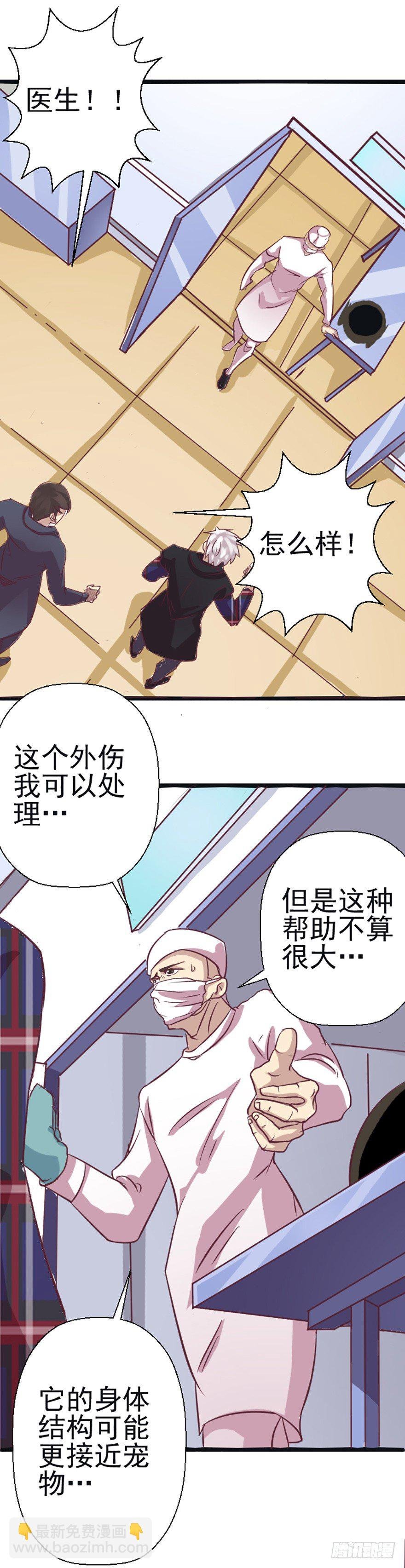 兽医院的希望