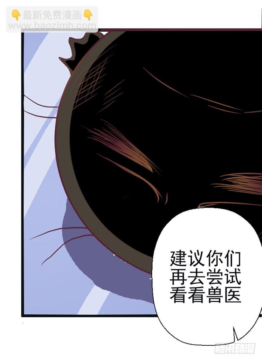 兽医院的希望