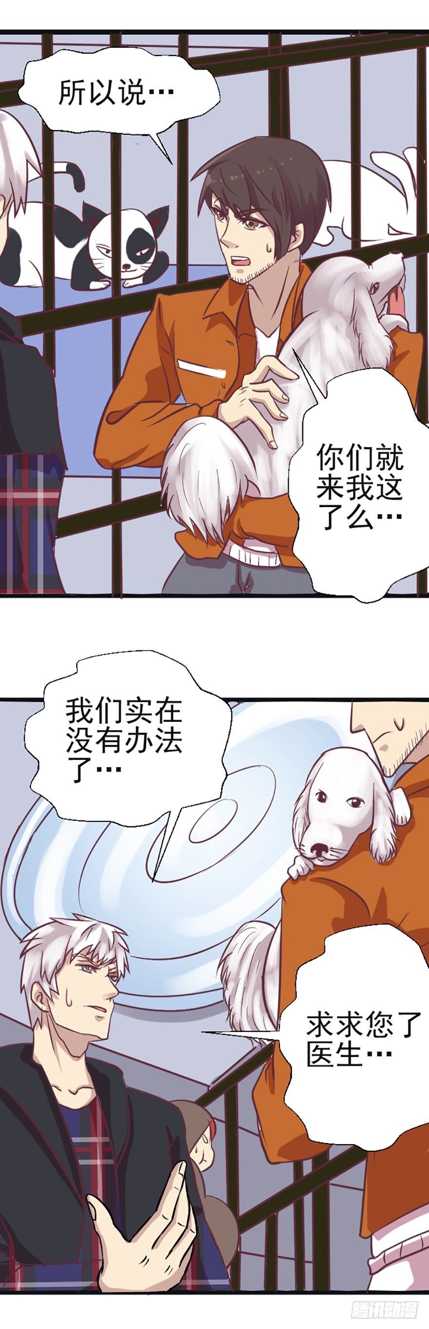 兽医院的希望