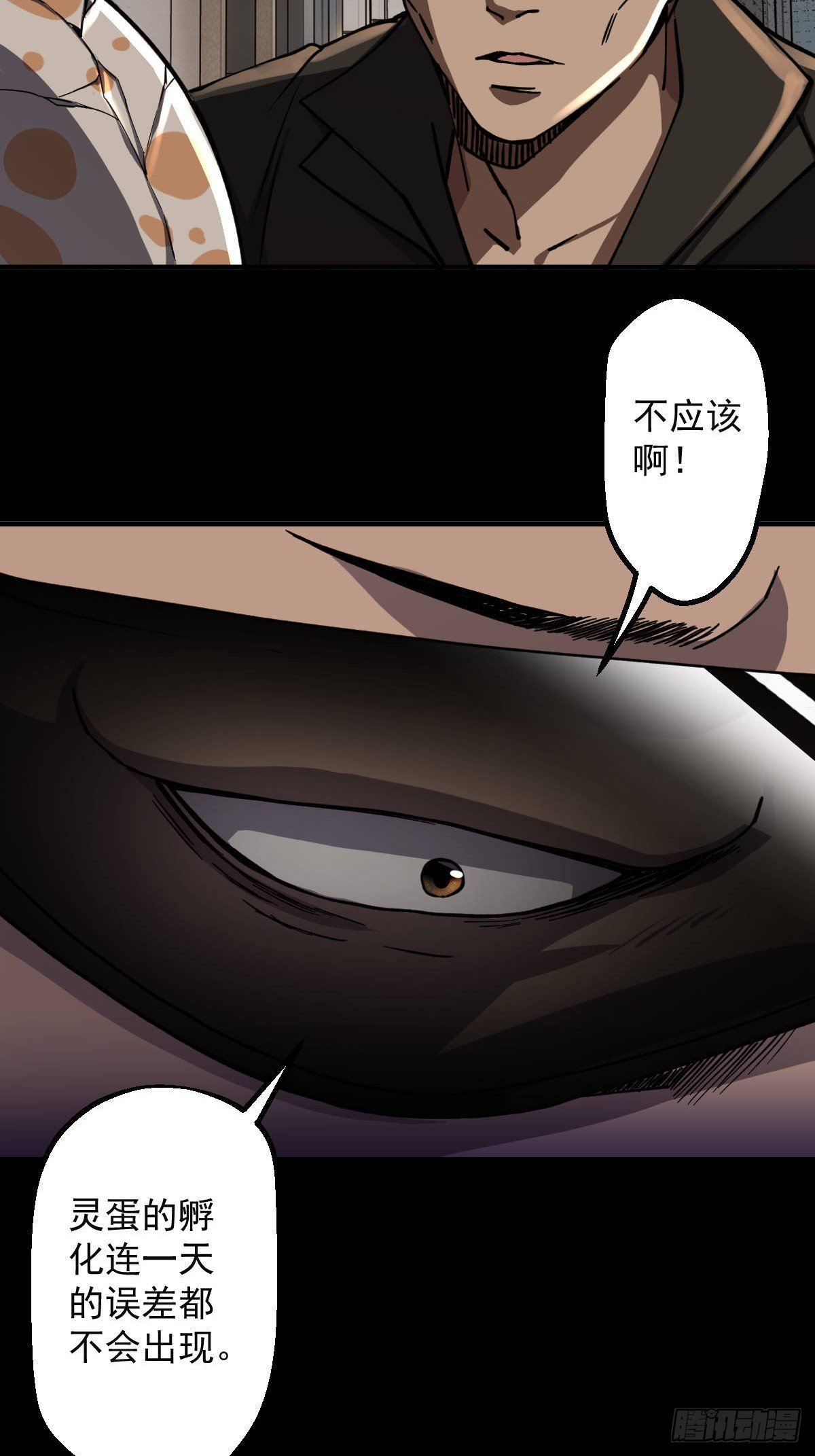 第015回