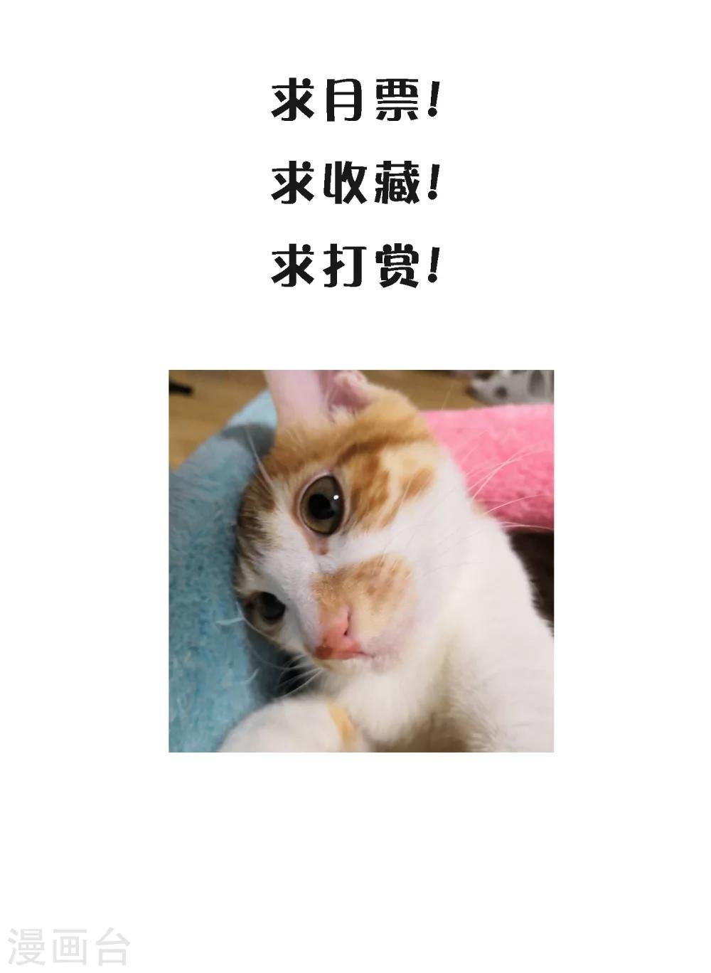 第25话1 可笑的弱点