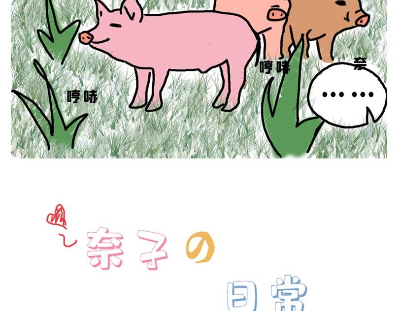 春游篇