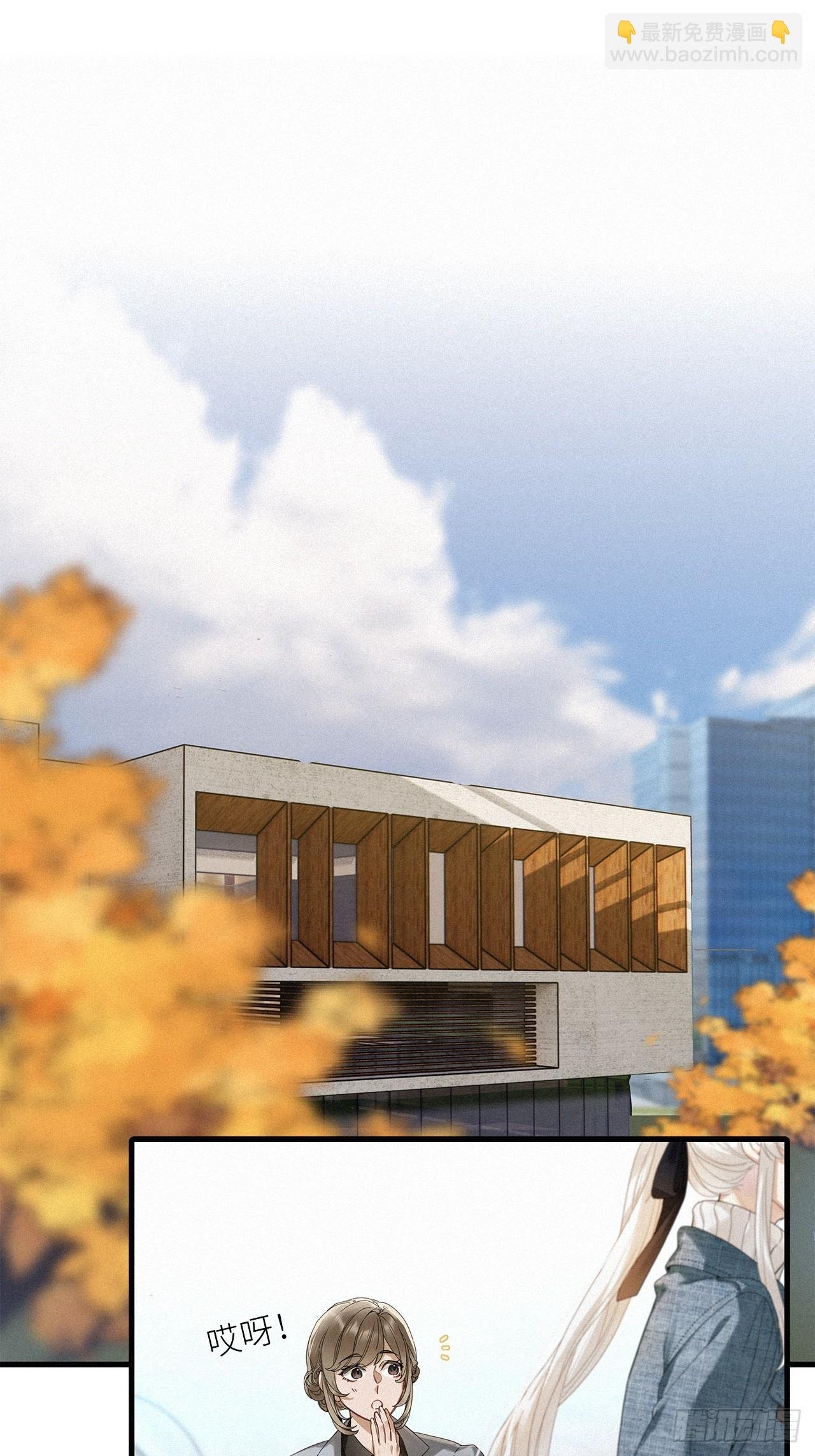 鸤鸠之歌
