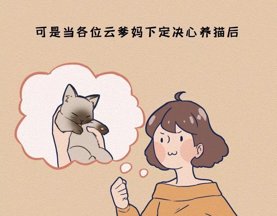 第17话：我们为什么沉迷撸猫？