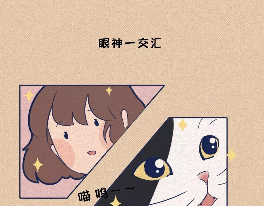 第17话：我们为什么沉迷撸猫？