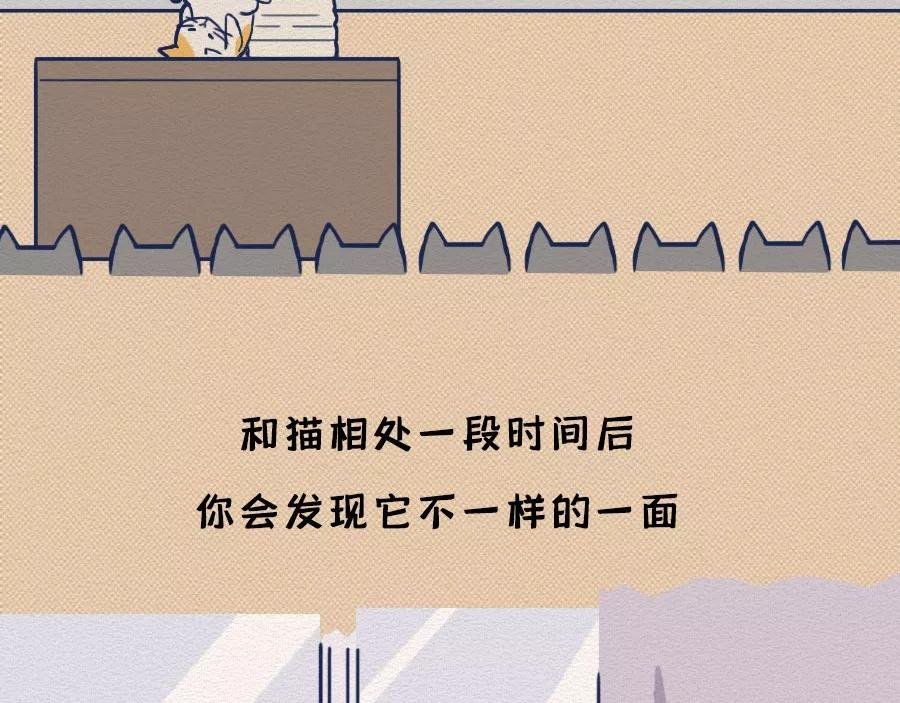 第17话：我们为什么沉迷撸猫？
