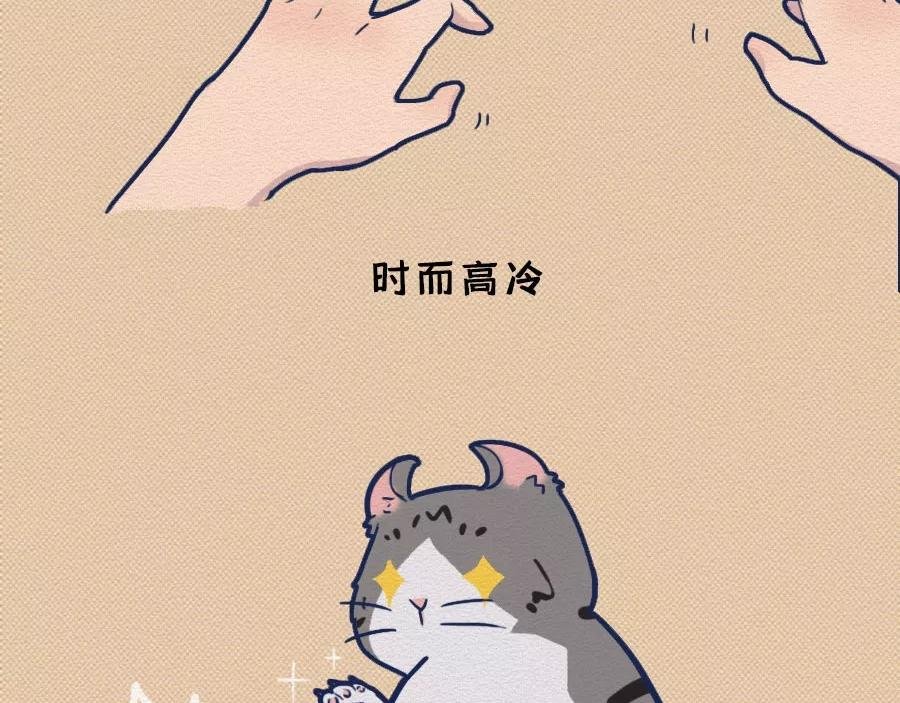 第17话：我们为什么沉迷撸猫？