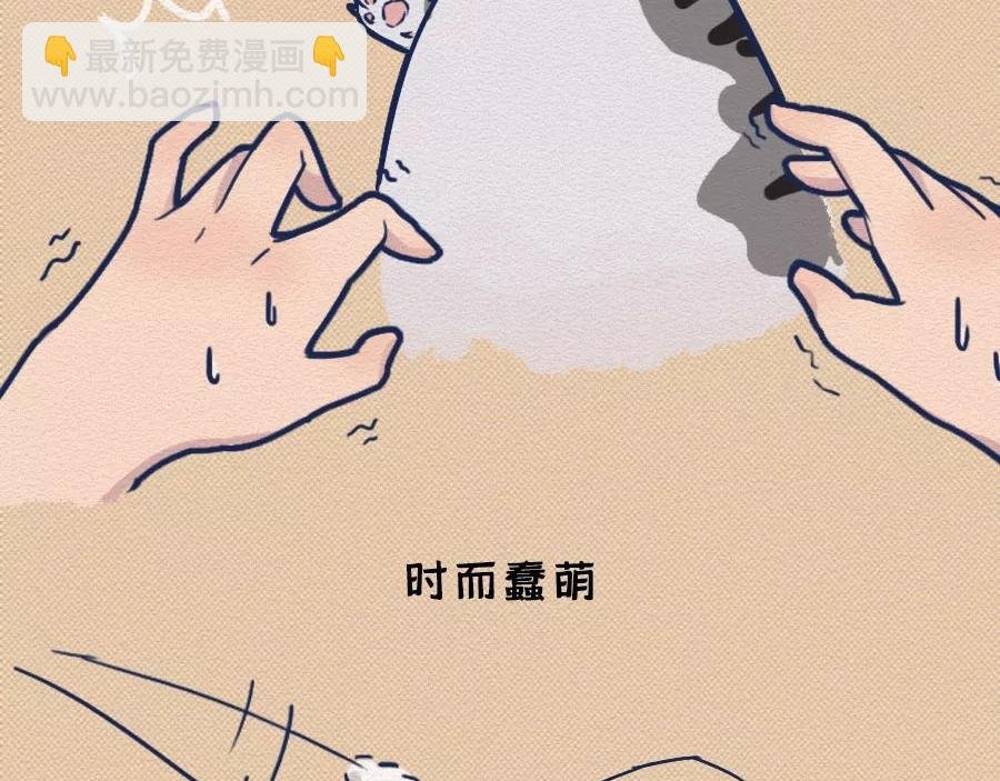 第17话：我们为什么沉迷撸猫？