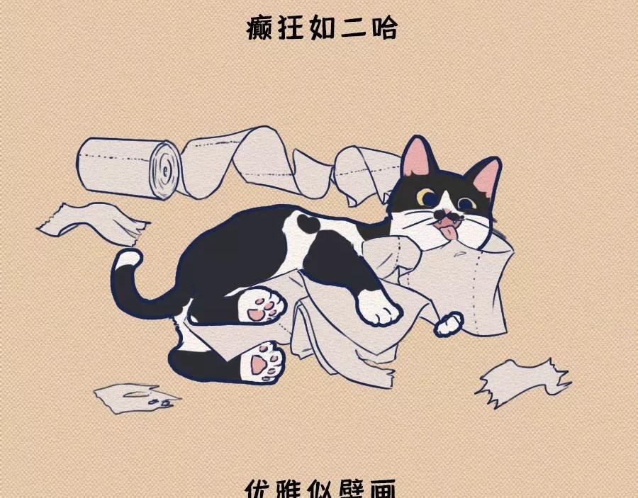 第17话：我们为什么沉迷撸猫？