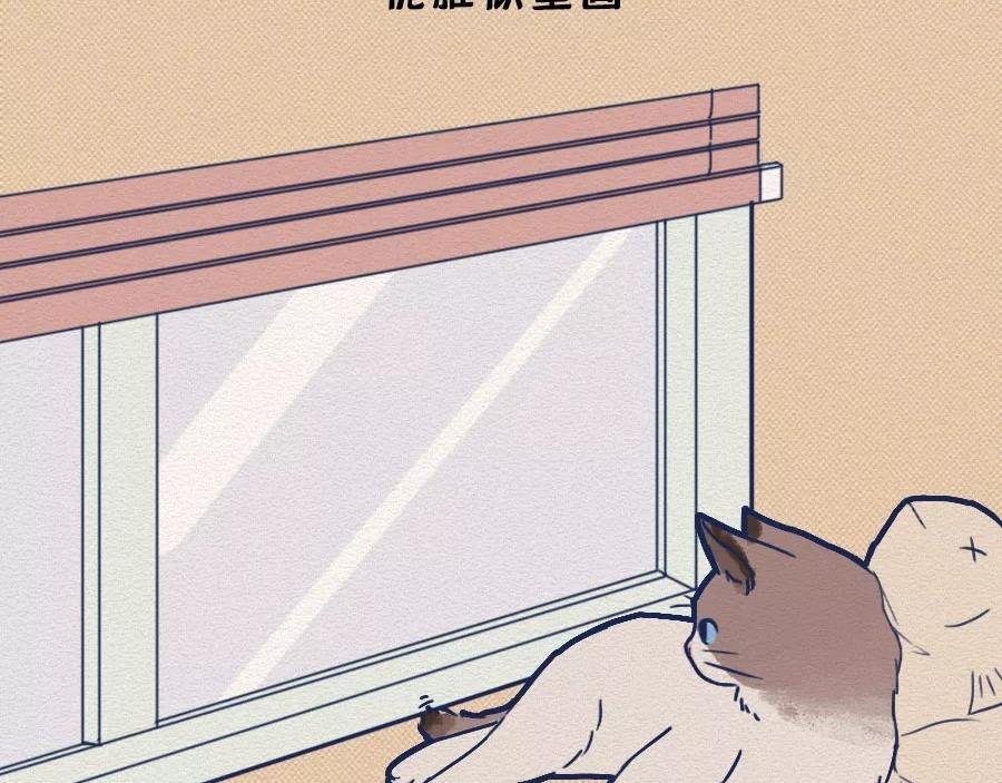 第17话：我们为什么沉迷撸猫？