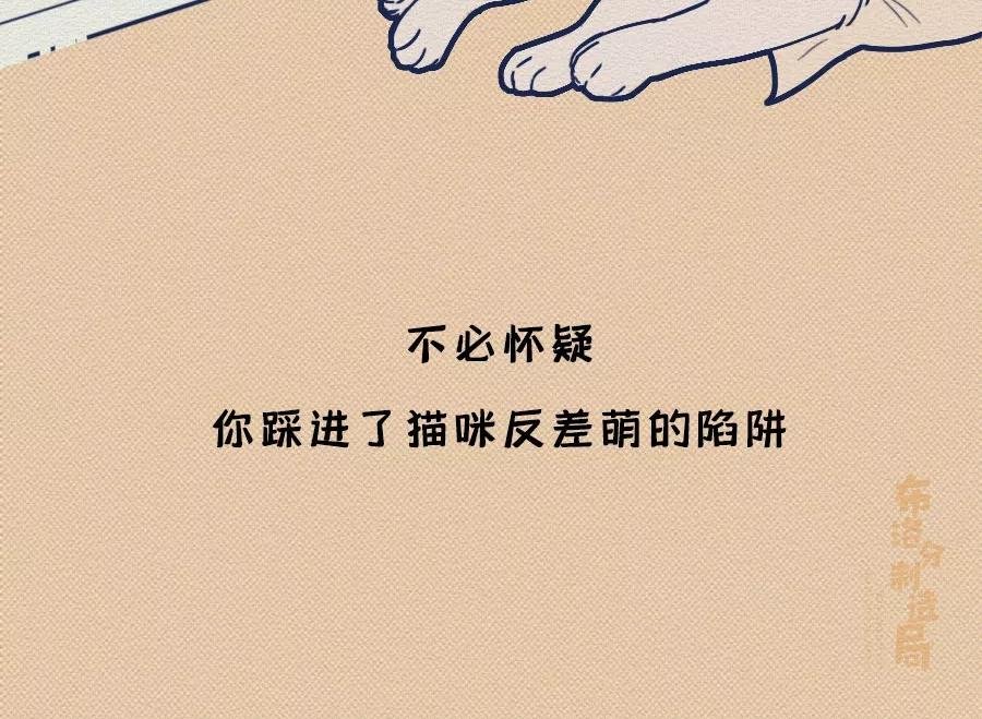第17话：我们为什么沉迷撸猫？
