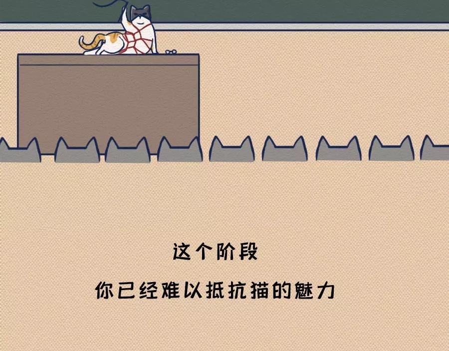 第17话：我们为什么沉迷撸猫？