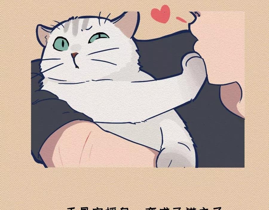 第17话：我们为什么沉迷撸猫？