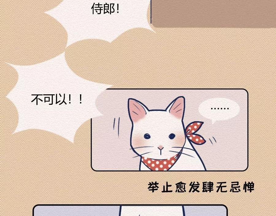 第17话：我们为什么沉迷撸猫？