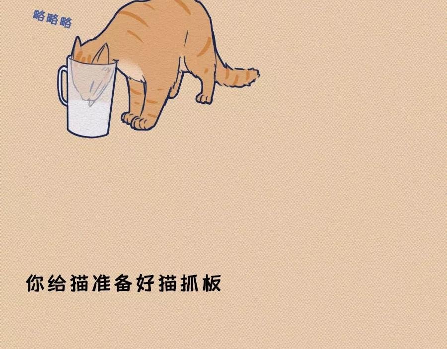 第17话：我们为什么沉迷撸猫？