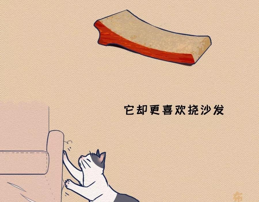 第17话：我们为什么沉迷撸猫？