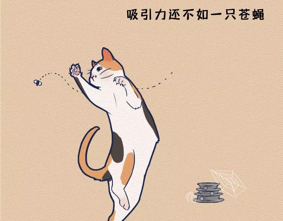 第17话：我们为什么沉迷撸猫？