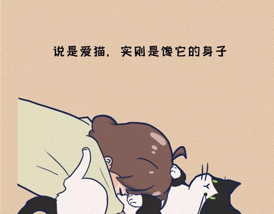 第17话：我们为什么沉迷撸猫？