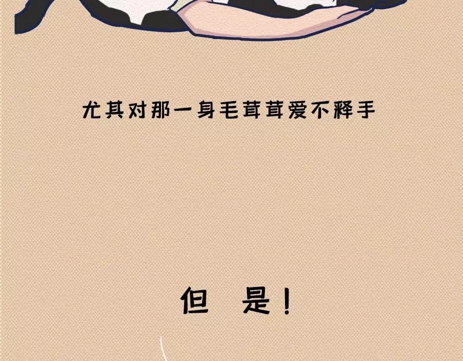 第17话：我们为什么沉迷撸猫？