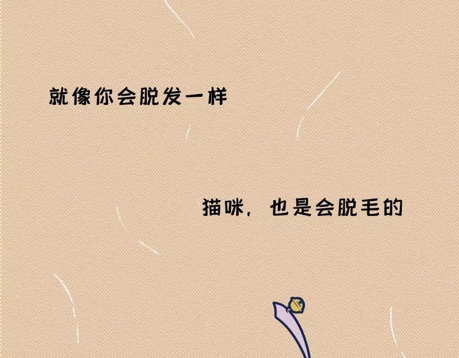 第17话：我们为什么沉迷撸猫？