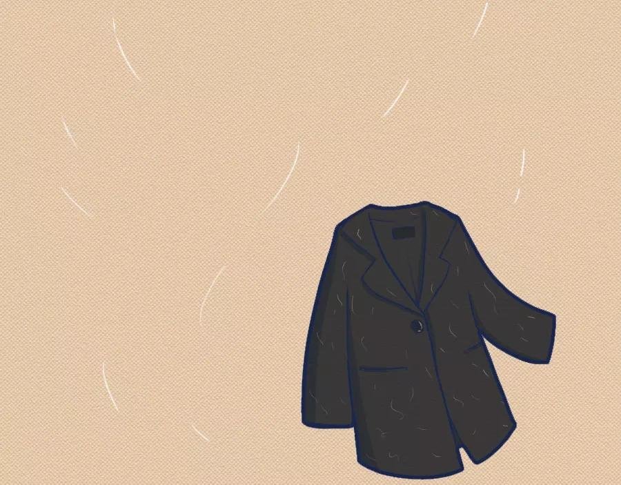 第17话：我们为什么沉迷撸猫？