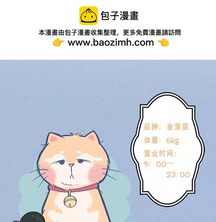 第19话：有些猫撸着撸着就没了
