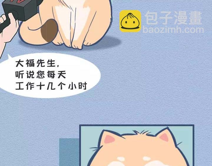 第19话：有些猫撸着撸着就没了