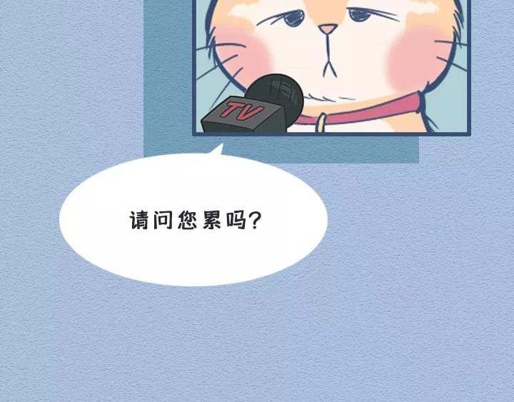 第19话：有些猫撸着撸着就没了