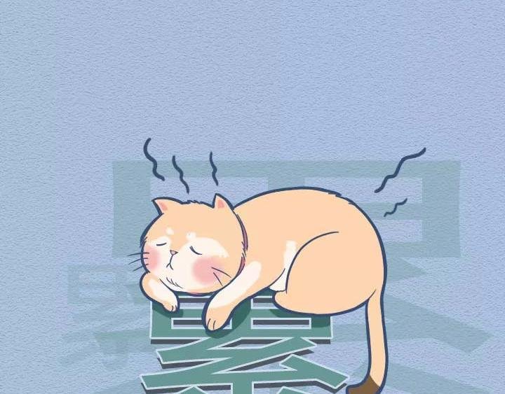 第19话：有些猫撸着撸着就没了