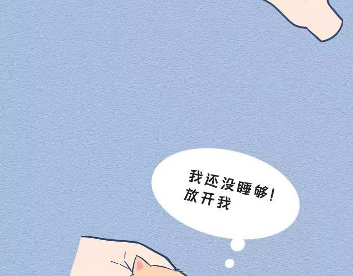 第19话：有些猫撸着撸着就没了