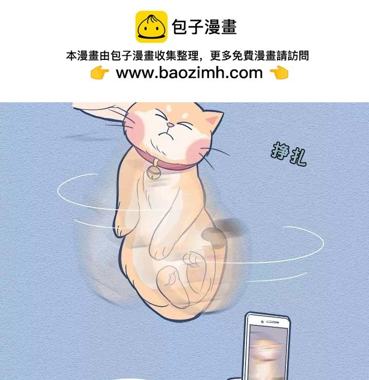 第19话：有些猫撸着撸着就没了