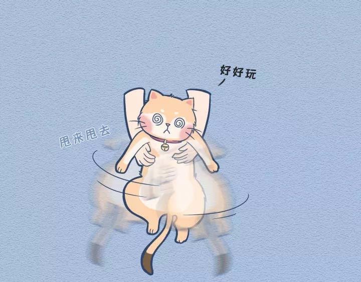第19话：有些猫撸着撸着就没了