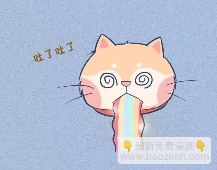 第19话：有些猫撸着撸着就没了