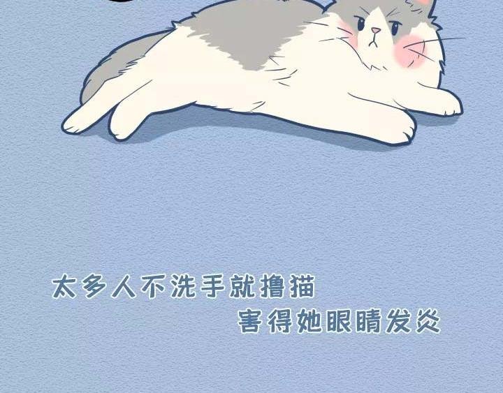 第19话：有些猫撸着撸着就没了