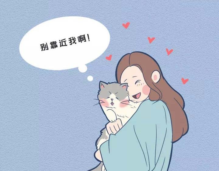 第19话：有些猫撸着撸着就没了