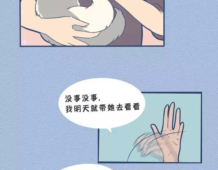 第19话：有些猫撸着撸着就没了