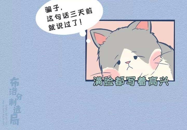 第19话：有些猫撸着撸着就没了