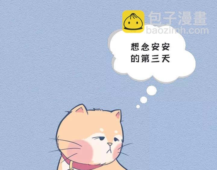 第19话：有些猫撸着撸着就没了