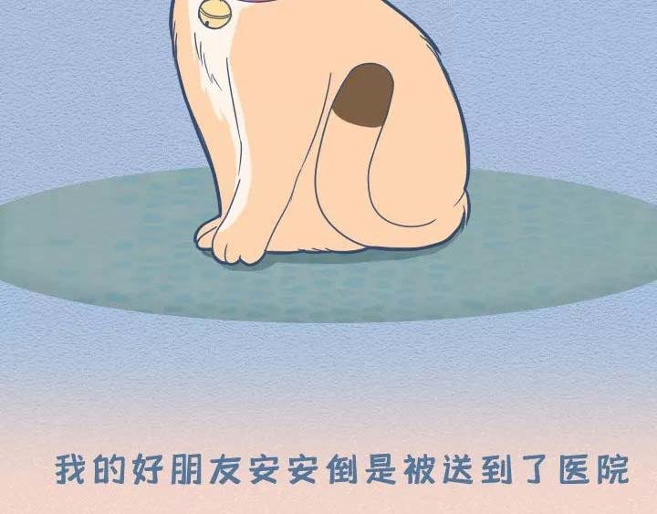 第19话：有些猫撸着撸着就没了