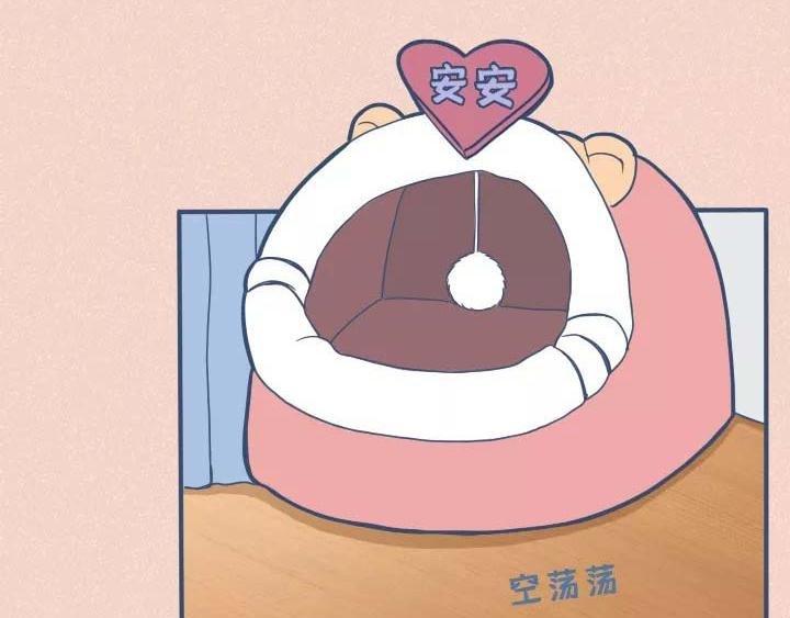 第19话：有些猫撸着撸着就没了