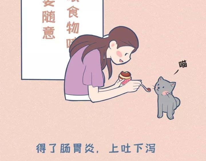 第19话：有些猫撸着撸着就没了