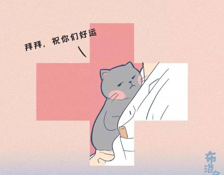 第19话：有些猫撸着撸着就没了
