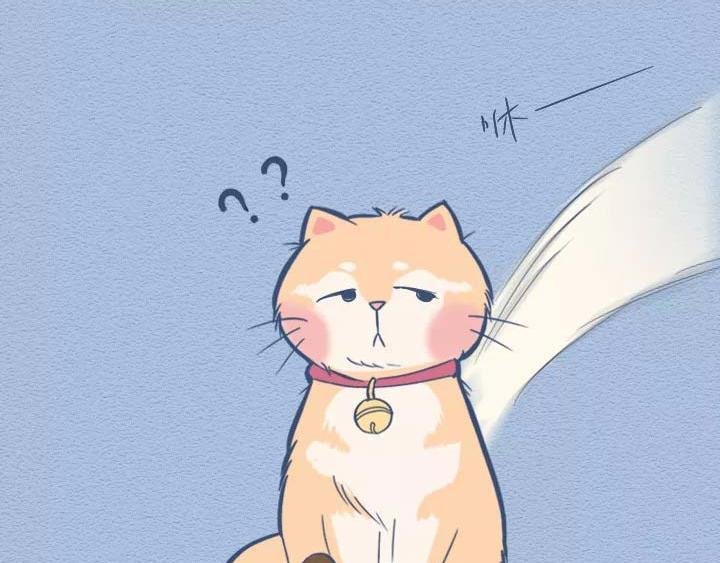 第19话：有些猫撸着撸着就没了
