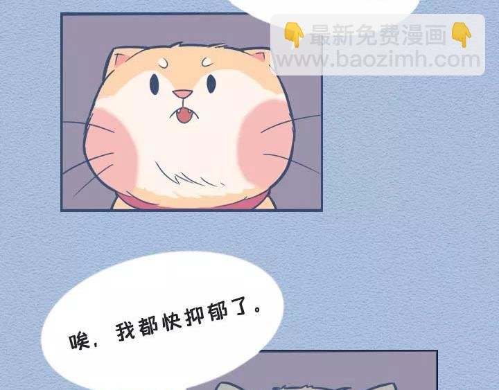 第19话：有些猫撸着撸着就没了