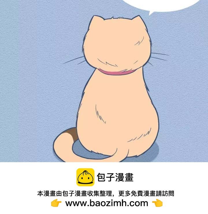 第19话：有些猫撸着撸着就没了