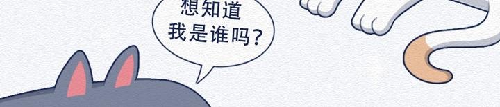 第24话：强迫症十级患者的日常