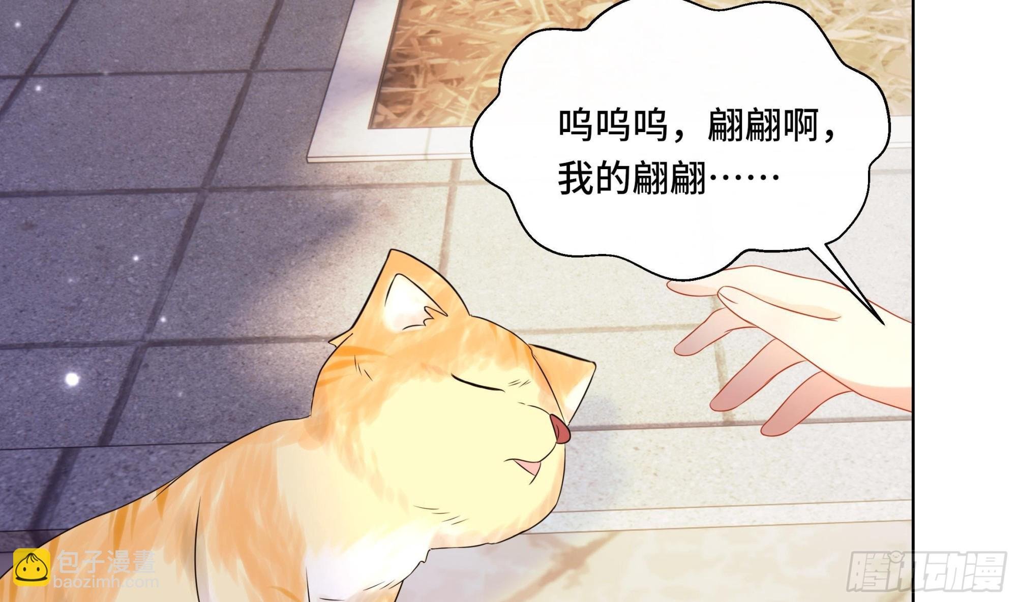 第34话 是行动派！