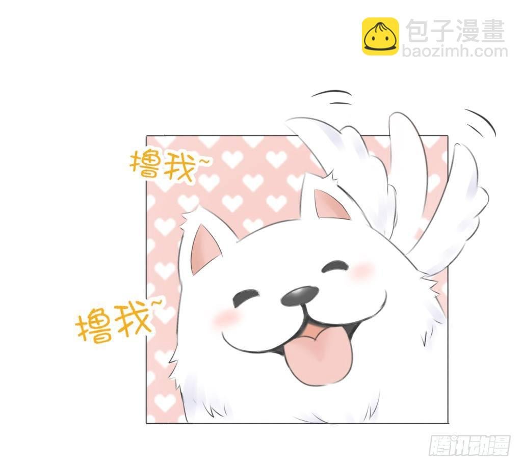 散步（2）